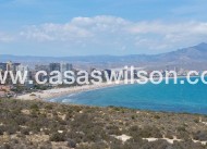 New Build - Apartment - San Juan Alicante - Franc Espinós