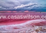 New Build - Apartment - Torrevieja - Centro