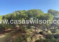 New Build - Appartement - Guardamar del Segura - CENTRO