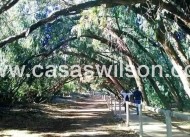 New Build - Bungalow - Torrevieja - Altos del Sol