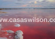 New Build - Bungalow - Torrevieja - Lago Jardín II