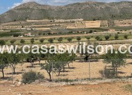 New Build - Country Property/Finca - Pinoso
