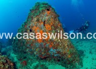 New Build - Other - Águilas - Isla del fraile