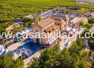 New Build - Villa - Algorfa - Castillo de montemar