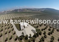 New Build - Villa - Algorfa - Lomas de La Juliana