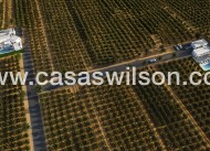 New Build - Villa - Benejúzar - alta