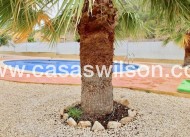 New Build - Villa - La Romana - Villas de la Romana