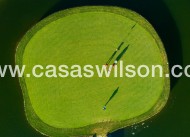 New Build - Villa - Pilar de la Horadada - Lo Romero Golf