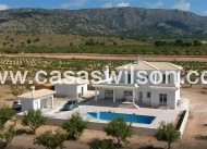 New Build - Villa - Pinoso - Camino Del Prado