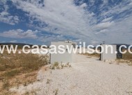 New Build - Villa - Pinoso - Campo