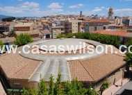 New Build - Villa - Pinoso - Campo