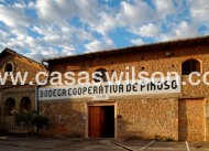 New Build - Villa - Pinoso - Campo