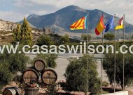 New Build - Villa - Pinoso - Campo