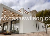 New Build - Villa - Pinoso - Casas Pastor