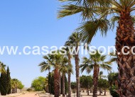 New Build - Villa - San Fulgencio - La Escuera