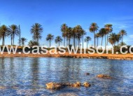 Nieuwbouw - Appartement - Torrevieja - Playa del Cura