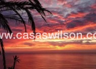 Nieuwbouw - Bungalow - Torrevieja - Altos del Sol