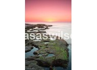 Nieuwbouw - Bungalow - Torrevieja - Altos del Sol