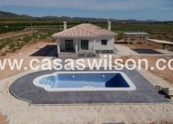Nieuwbouw - Villa - Pinoso - Camino Del Prado