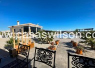 Nieuwbouw - Villa - Pinoso - Camino Del Prado
