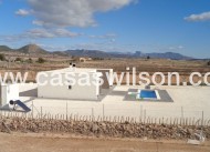 Nieuwbouw - Villa - Pinoso - Camino Del Prado