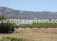 Nieuwbouw - Villa - Pinoso - Camino Del Prado