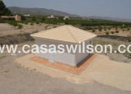 Nieuwbouw - Villa - Pinoso - Camino Del Prado