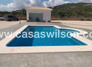 Nieuwbouw - Villa - Pinoso - Camino Del Prado