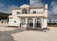 Nieuwbouw - Villa - Pinoso - Camino Del Prado