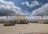 Nieuwbouw - Villa - Pinoso - Camino Del Prado