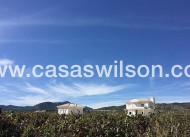 Nieuwbouw - Villa - Pinoso - Camino Del Prado