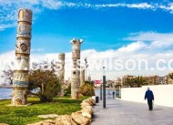 Nieuwbouw - Villa - Torrevieja - Aguas nuevas 1
