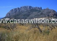 Nueva construcción  - Apartamento - El Verger - Zona De La Playa