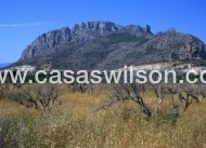 Nueva construcción  - Apartamento - El Verger