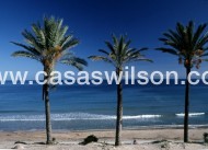 Nueva construcción  - Bungalow - Pilar de la Horadada - Parque Ramon eugenio Escudero