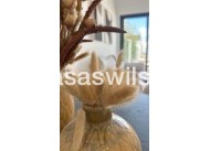 Nueva construcción  - Bungalow - San Fulgencio - Pueblo