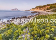 Nueva construcción  - Chalet - Benissa - Cala Advocat