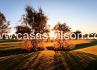 Nueva construcción  - Chalet - Pilar de la Horadada - Lo Romero Golf