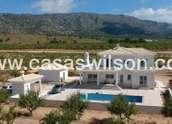 Nueva construcción  - Chalet - Pinoso - Camino Del Prado