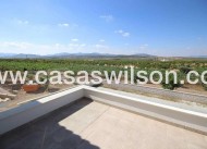 Nueva construcción  - Chalet - Pinoso - Camino Del Prado