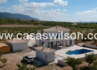 Nueva construcción  - Chalet - Pinoso - Camino Del Prado