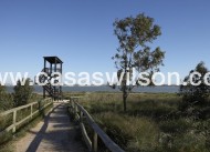 Nueva construcción  - Chalet - Torrevieja - Sector 25