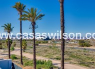 Nueva construcción  - Chalet - Torrevieja - Sector 25