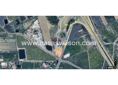 Plot of Land - Sale - San Miguel de Salinas - San Miguel Salinas