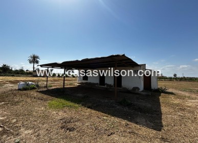 Plot of Land - Sale - San Miguel de Salinas - San Miguel Salinas