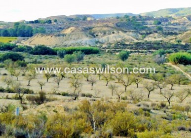 Plot of Land - Sale - Torremendo - Torremendo