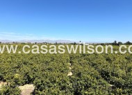 Sale - Apartment - Benejúzar