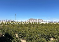 Sale - Apartment - Benejúzar