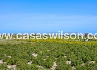 Sale - Apartment - Daya Nueva - Costa Blanca