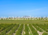 Sale - Apartment - Daya Nueva - Costa Blanca